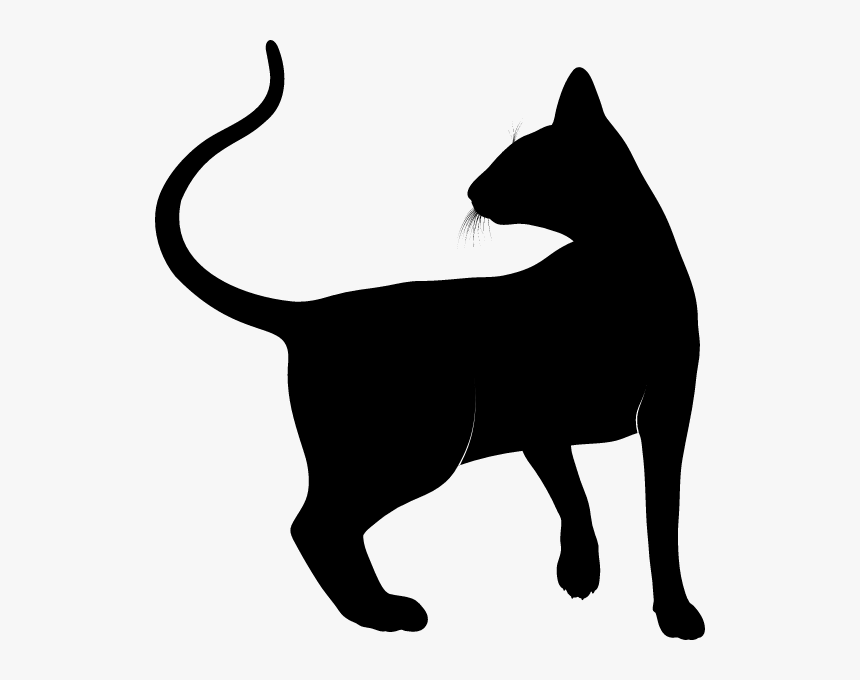 Animal Silhouette Cat, HD Png Download, Free Download
