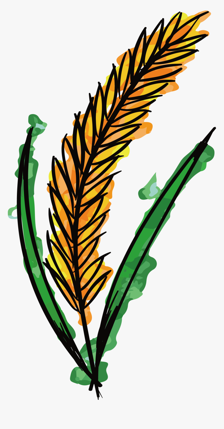 Watercolor Painting Wheat Clip Art - Png Wheat Watercolor Clipart, Transparent Png, Free Download