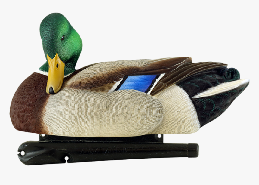 Transparent Duck Hunt Duck Png - Avian X Mallard Decoys, Png Download, Free Download