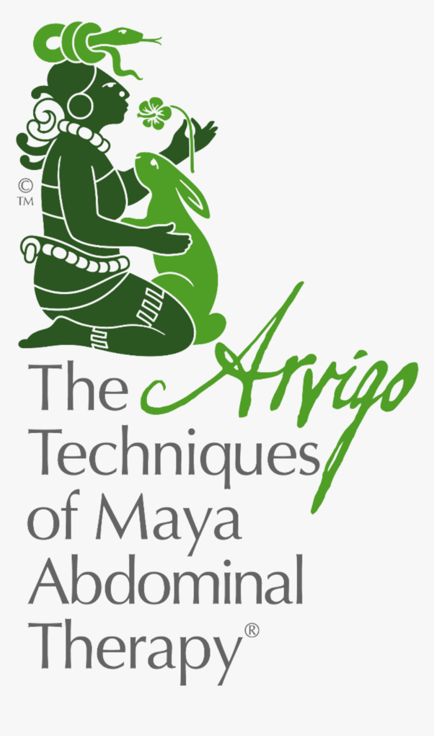 Newtransparentixchel - Arvigo Therapy, HD Png Download, Free Download