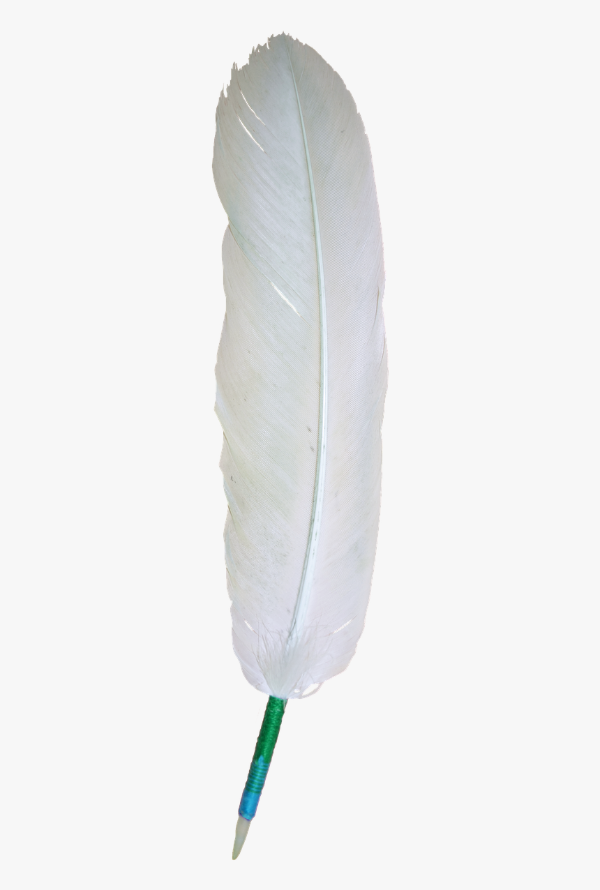 Eagle White Feather Png, Transparent Png, Free Download