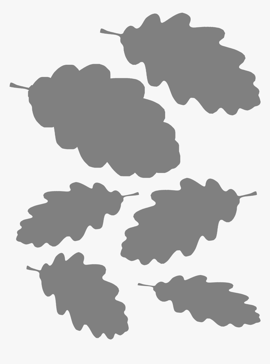 Useful Oak Leaf Template, HD Png Download, Free Download