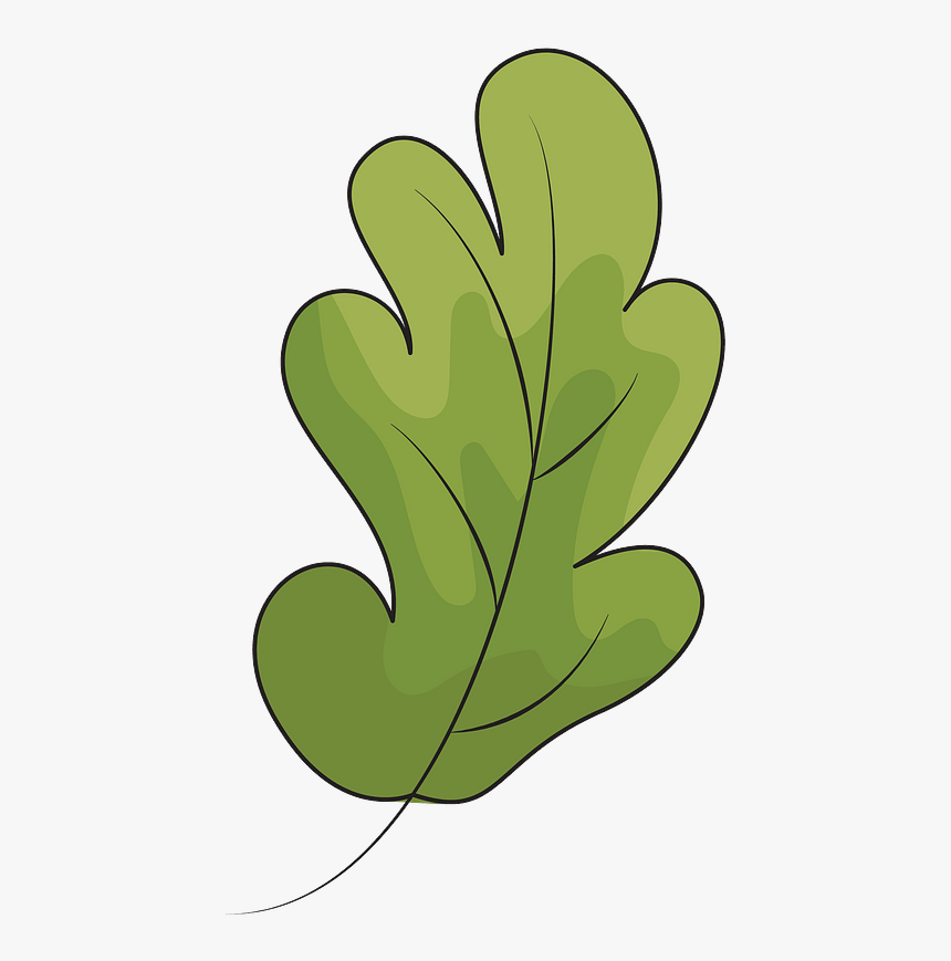 Oak Leaf Clipart - Leaf Clipart, HD Png Download, Free Download