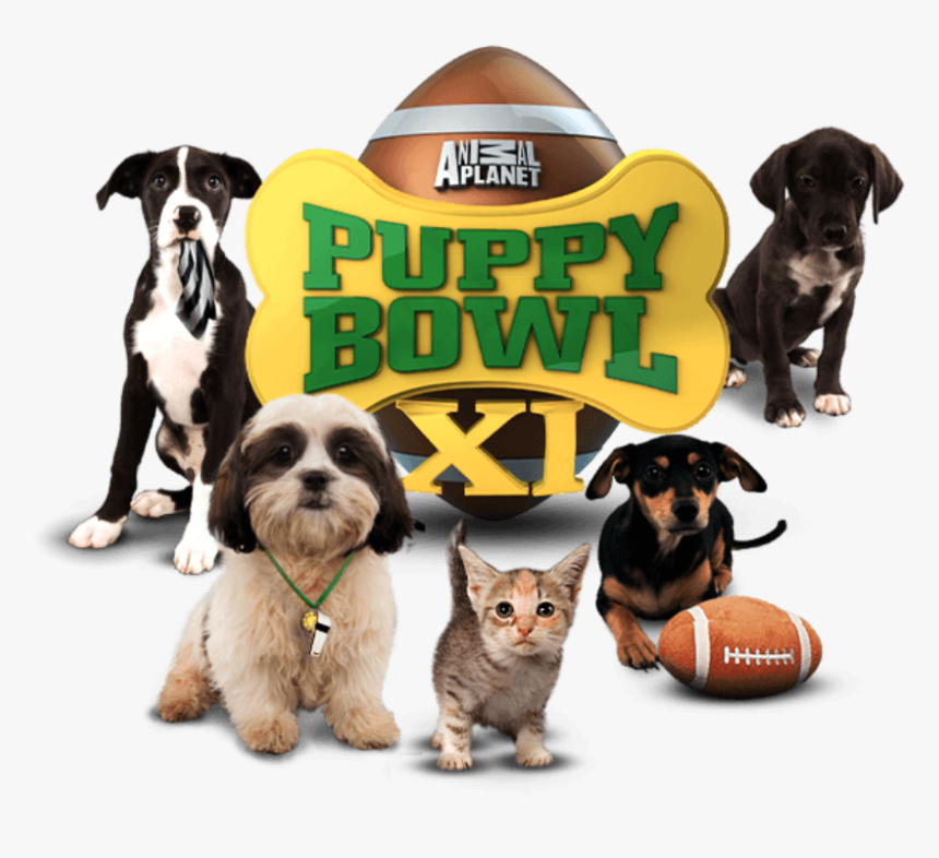 Puppy Bowl Sunday, HD Png Download, Free Download