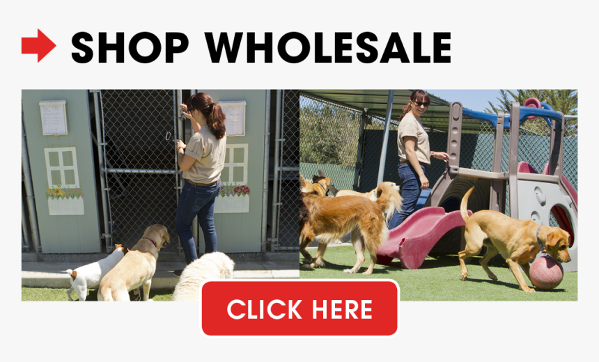 Dog Camp, HD Png Download, Free Download