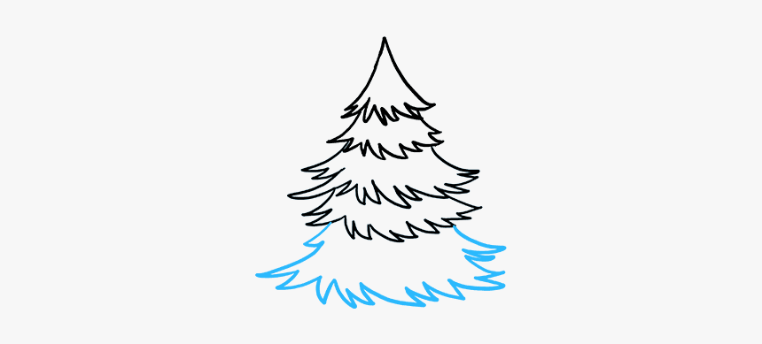 How To Draw Spruce, HD Png Download, Free Download