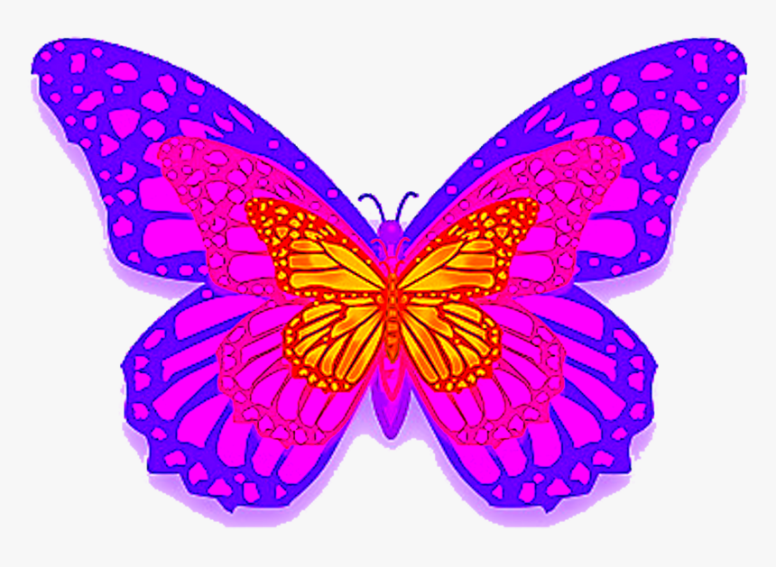 Purple Butterfly Png - Butterflies, Transparent Png, Free Download