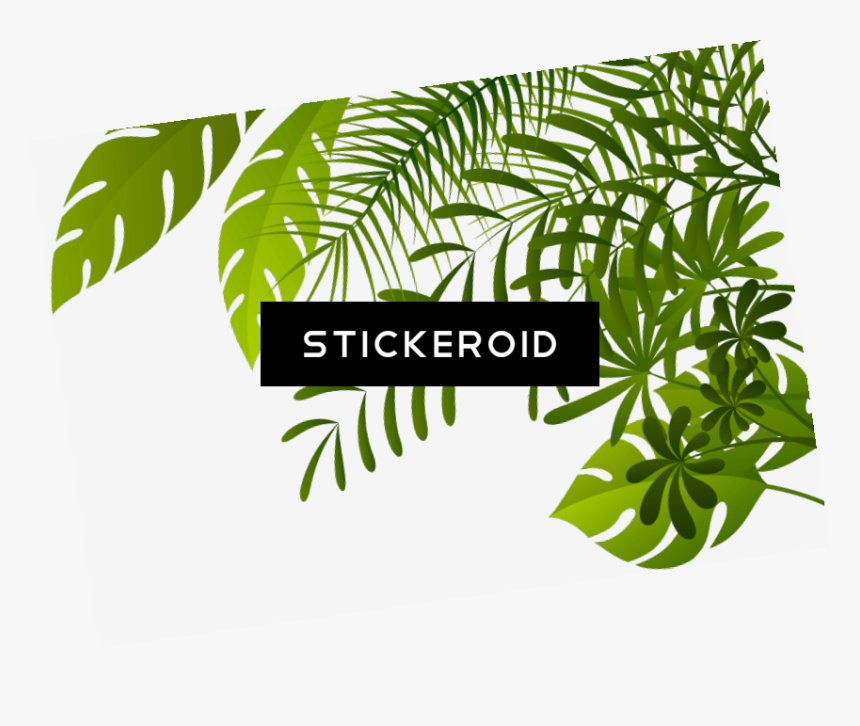 Jungle Tree Nature - Transparent Jungle Leaves Clipart, HD Png Download, Free Download