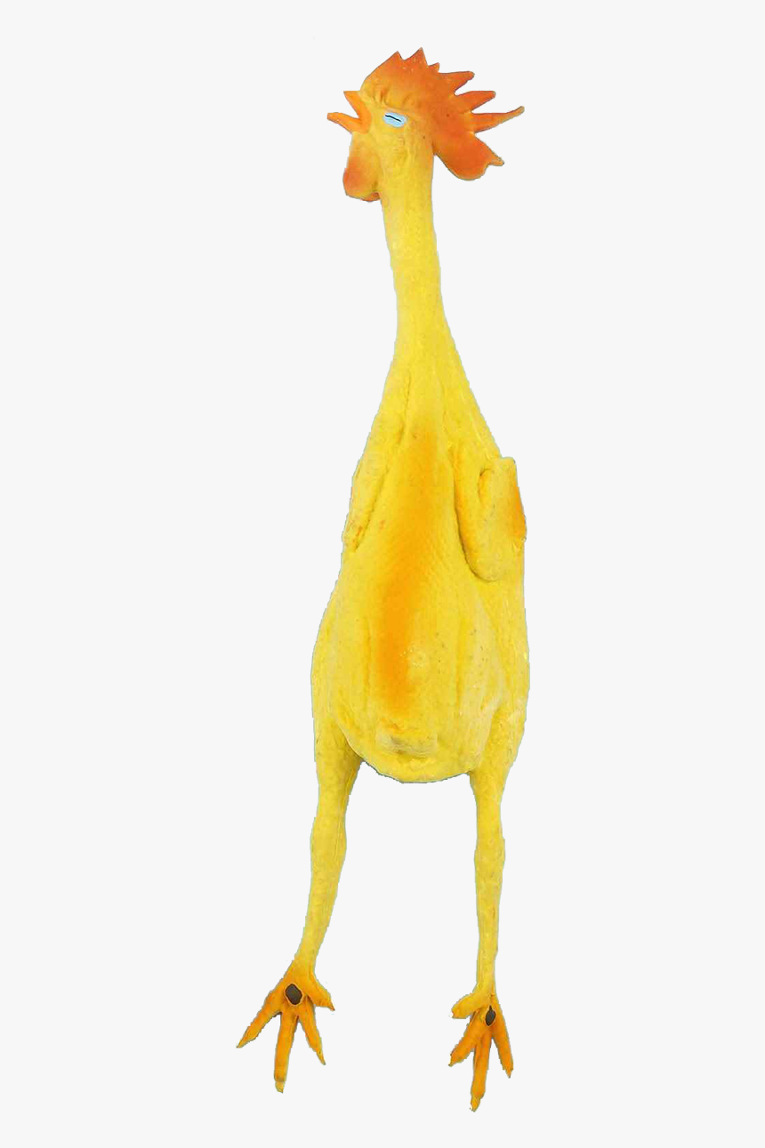 Rubber Chicken, HD Png Download, Free Download