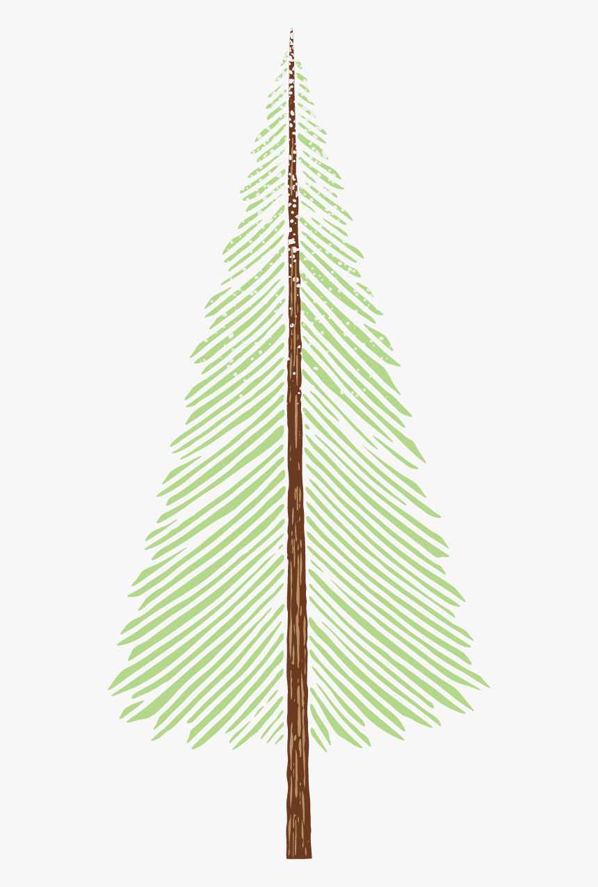 Pond Pine, HD Png Download, Free Download