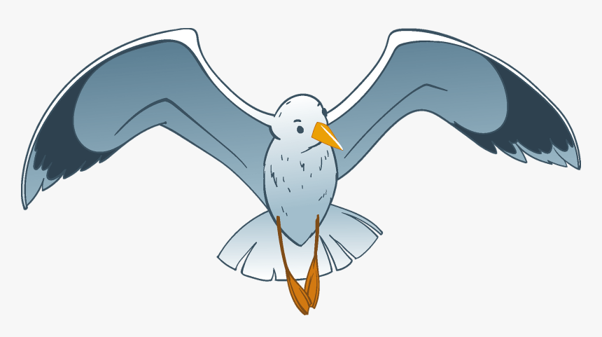 Albatross, HD Png Download, Free Download