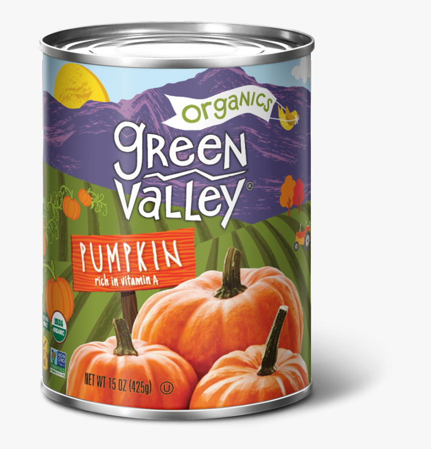 Transparent Pumpkin Vector Png - Green Beans Can Transparent Background, Png Download, Free Download