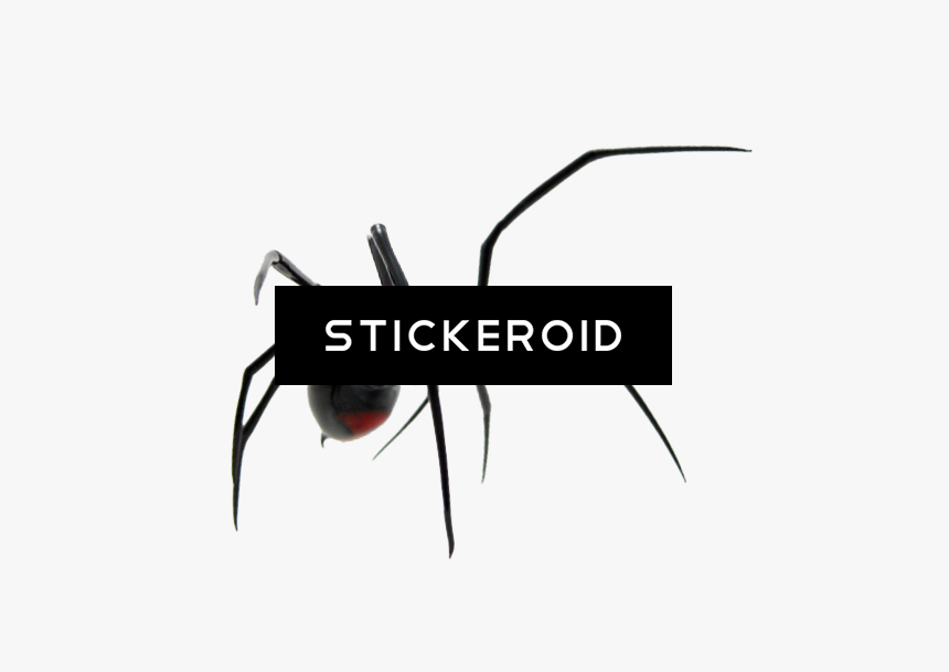 Black Widow , Png Download - Black Widow, Transparent Png, Free Download