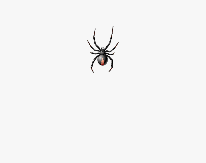 Spider - Black Widow, HD Png Download, Free Download