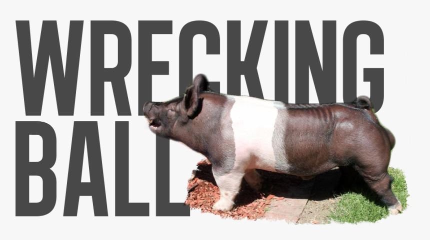 Wrecking Ball - Pre Order - Overrun - Last Call - Suidae - Sumatran Rhinoceros, HD Png Download, Free Download
