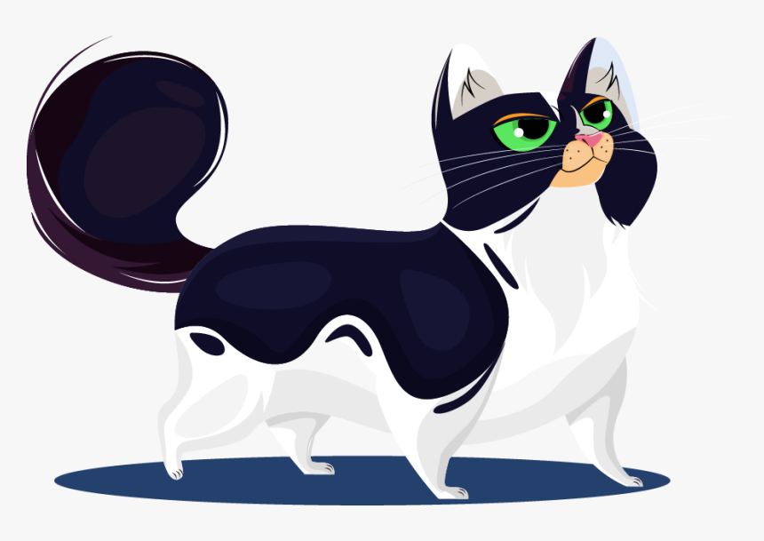 Black Cat, HD Png Download, Free Download