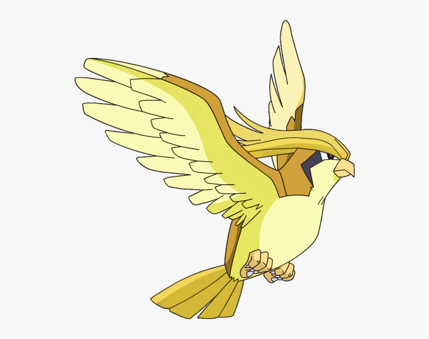 01, September 3, - Pidgeot Png, Transparent Png, Free Download