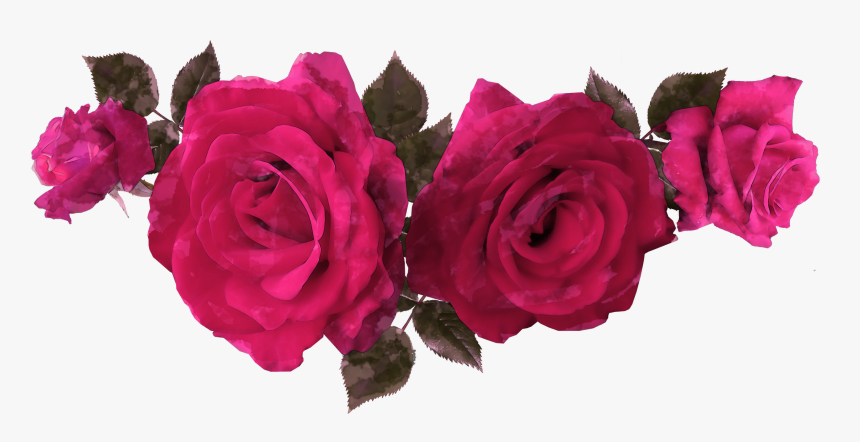 Free Watercolor Rose Flowers , Png Download - Floribunda, Transparent Png, Free Download