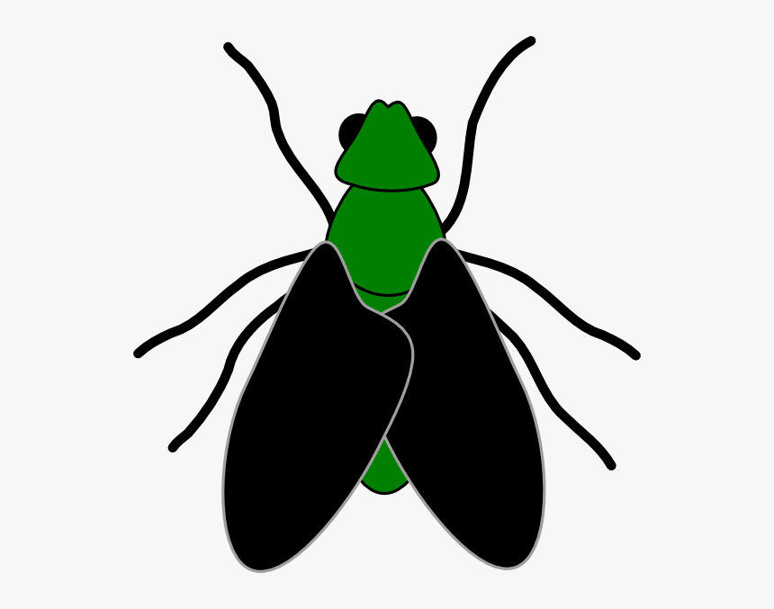 Green Fly Black Clip Art At Clker - Clip Art Of Fly, HD Png Download, Free Download