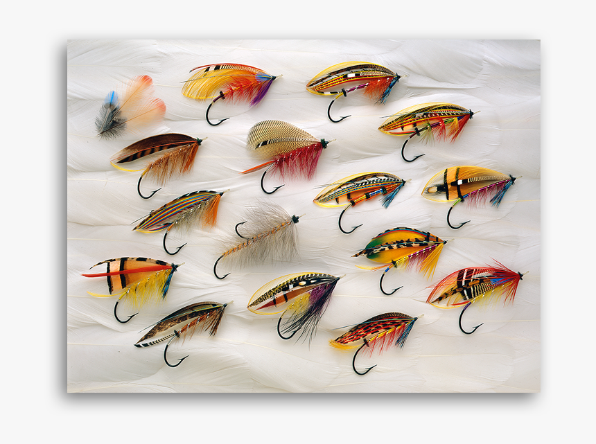 Classic Salmon Flies, HD Png Download, Free Download
