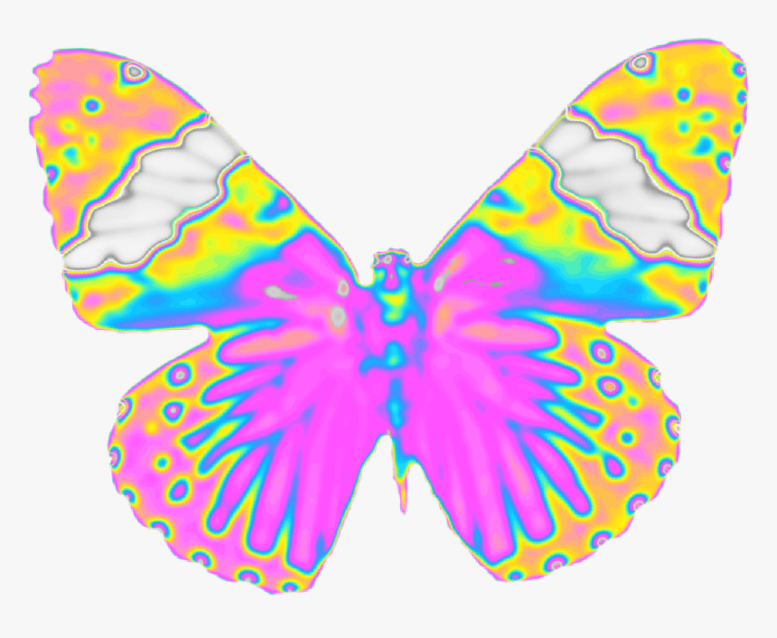 #butterfly #wings #fly 
#holographic #dinah #dinaaaaaah - Brush-footed Butterfly, HD Png Download, Free Download