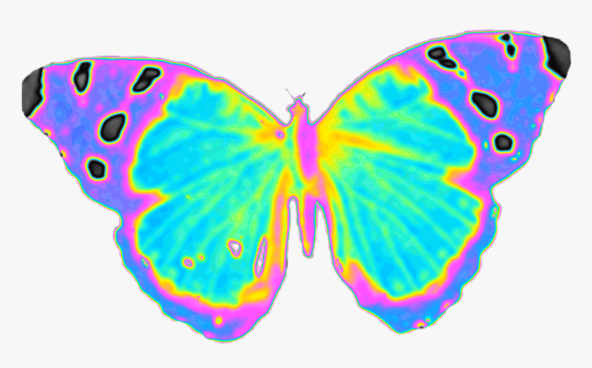 #butterfly #wings #fly 
#holographic #dinah #dinaaaaaah - Lycaenid, HD Png Download, Free Download