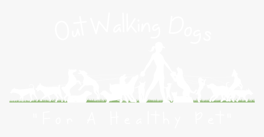 Transparent Person Walking Dog Png - Poster, Png Download, Free Download