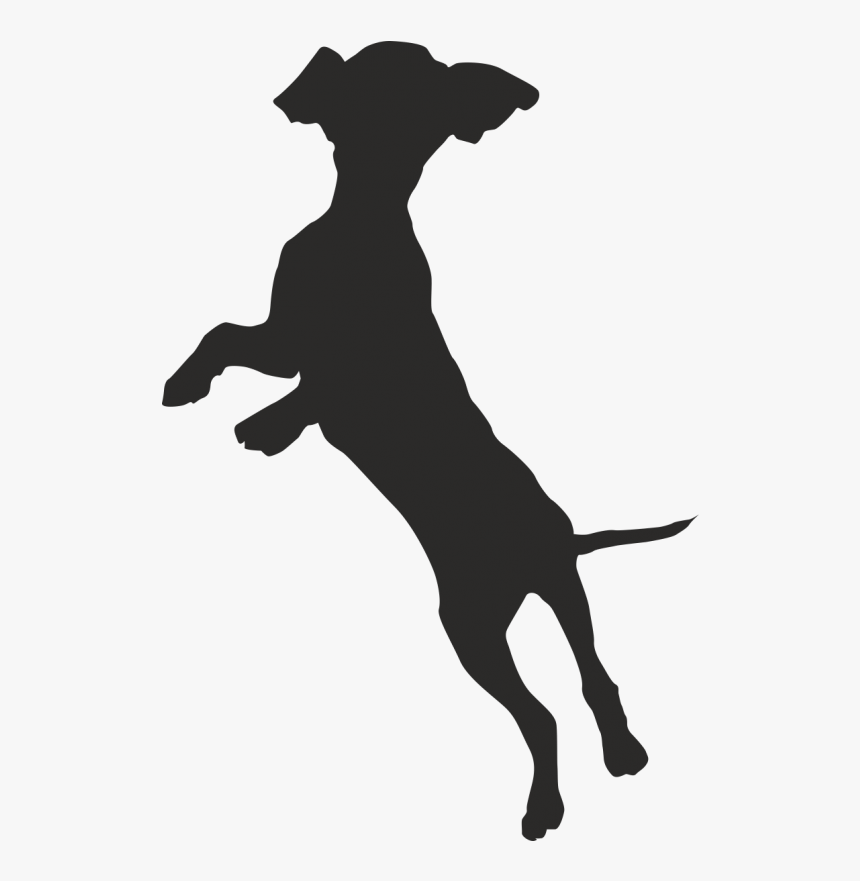 Greyhound Silhouette Sitting - Dog Catches Something, HD Png Download, Free Download