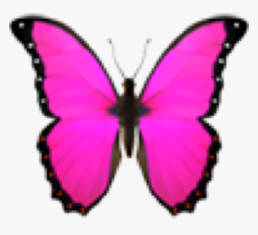 #emoji #iphoneemoji #butterfly #butterflyemoji #pink - Emoji Butterfly, HD Png Download, Free Download