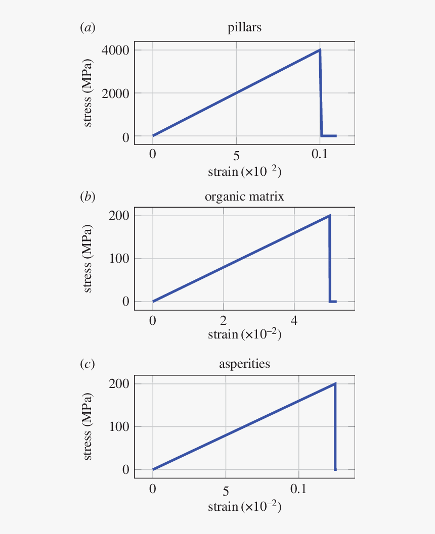 Diagram, HD Png Download, Free Download