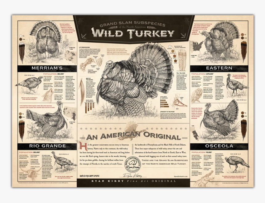 "the Grand Slam Subspecies Of The North American Wild, HD Png Download, Free Download