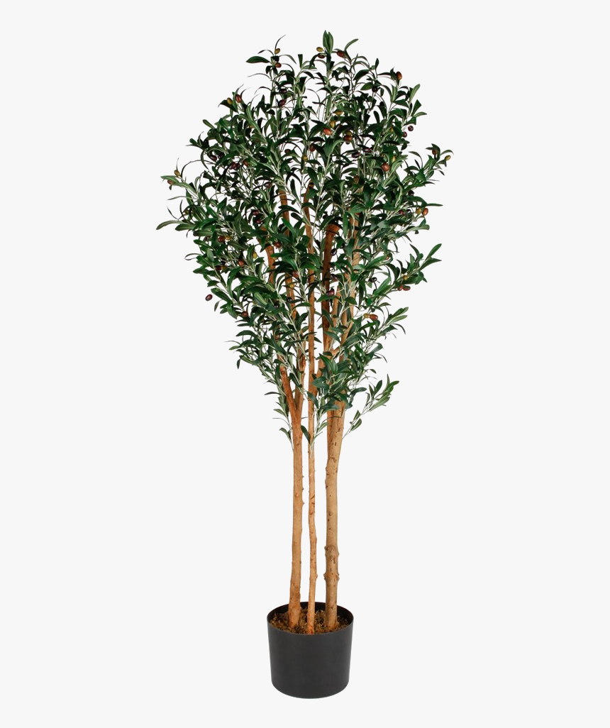 Artificial Tree Png Photos - Artificial Tree Png, Transparent Png, Free Download
