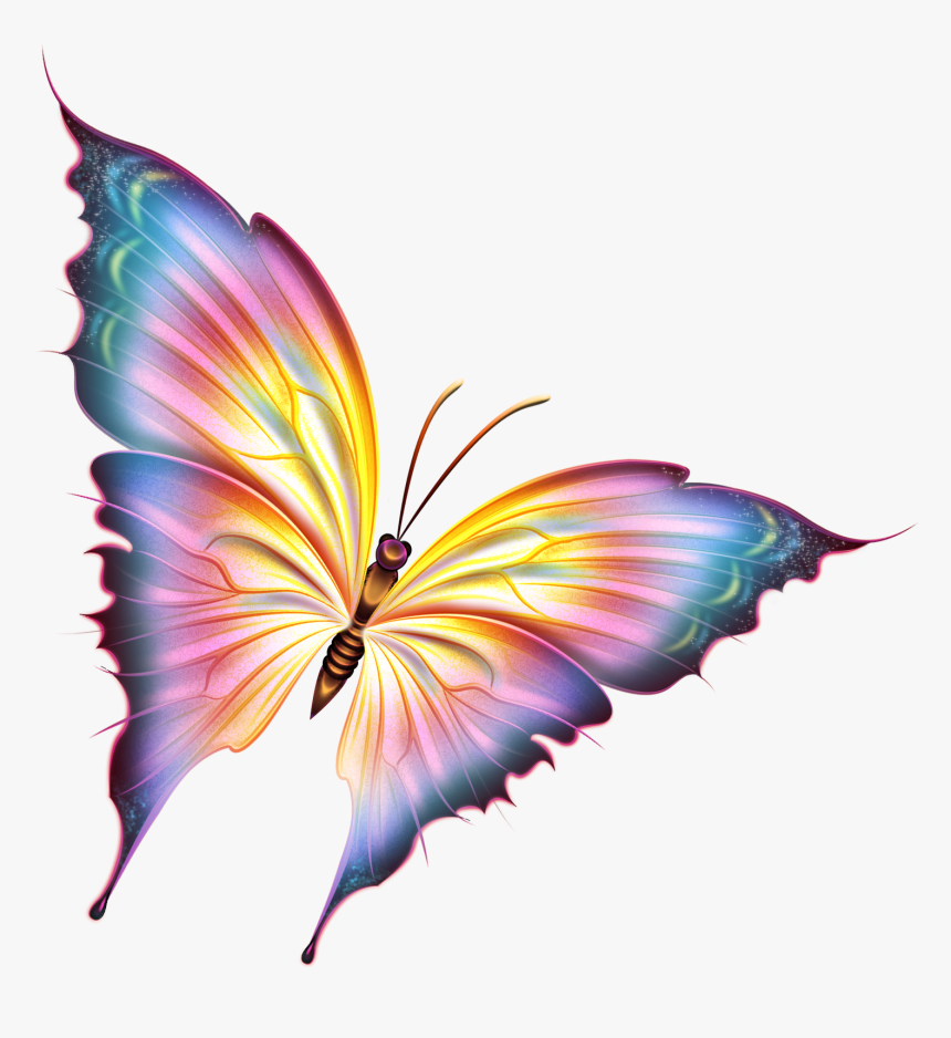 0 A3eb5 7c671e7a Orig - Beautiful Butterfly Pictures Png, Transparent Png, Free Download