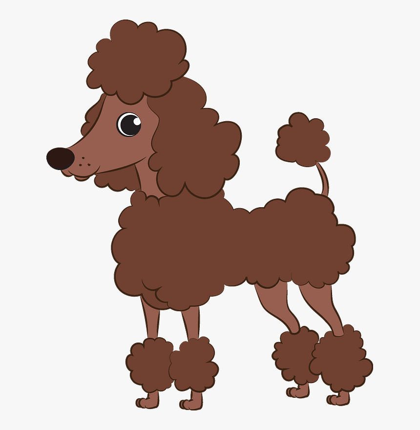 Poodle Clipart - Standard Poodle, HD Png Download, Free Download