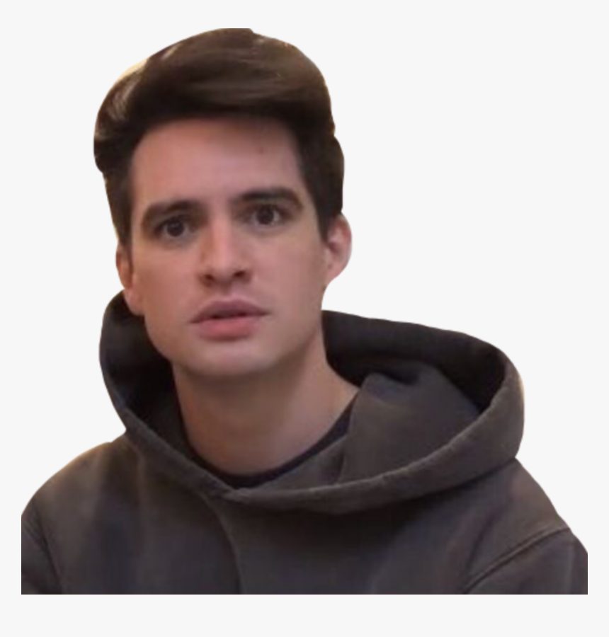 Beebourie Sticker Brendon Urie Is Hot Png Brendon Urie - Brendon Urie Confused Meme, Transparent Png, Free Download