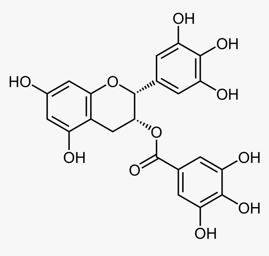 Epigallocatechin Gallate, HD Png Download, Free Download