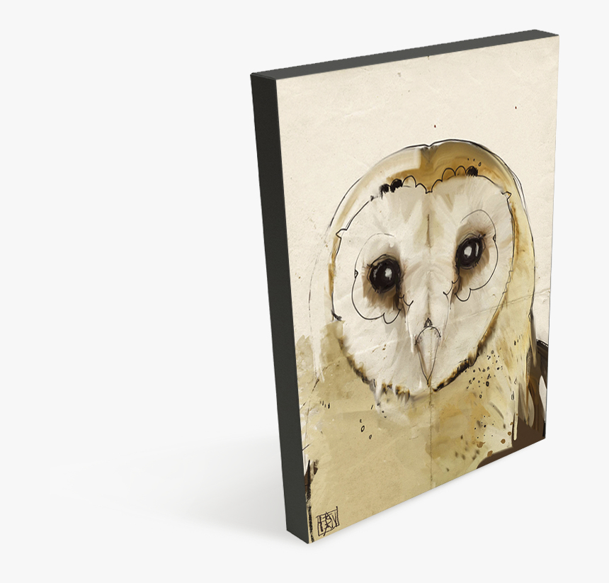 Barn Owl , Png Download - Barn Owl, Transparent Png, Free Download