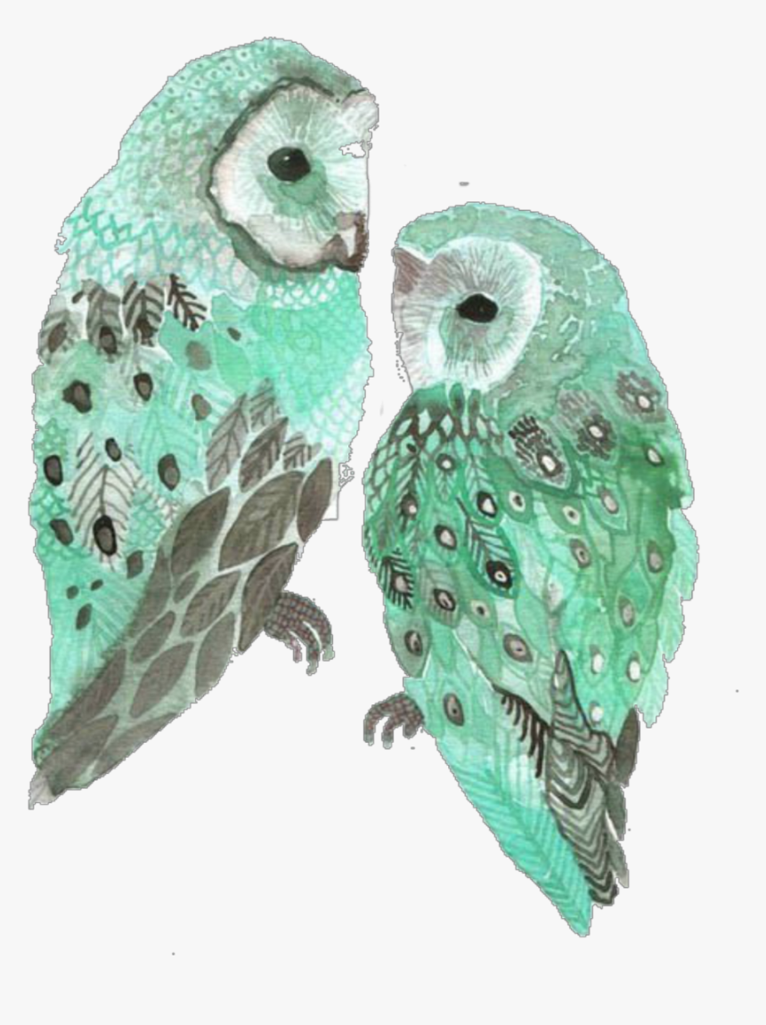 Mint Owl , Png Download - Birds Art, Transparent Png, Free Download