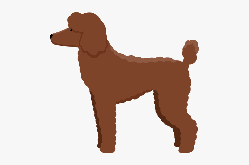 Standard Poodle, HD Png Download, Free Download