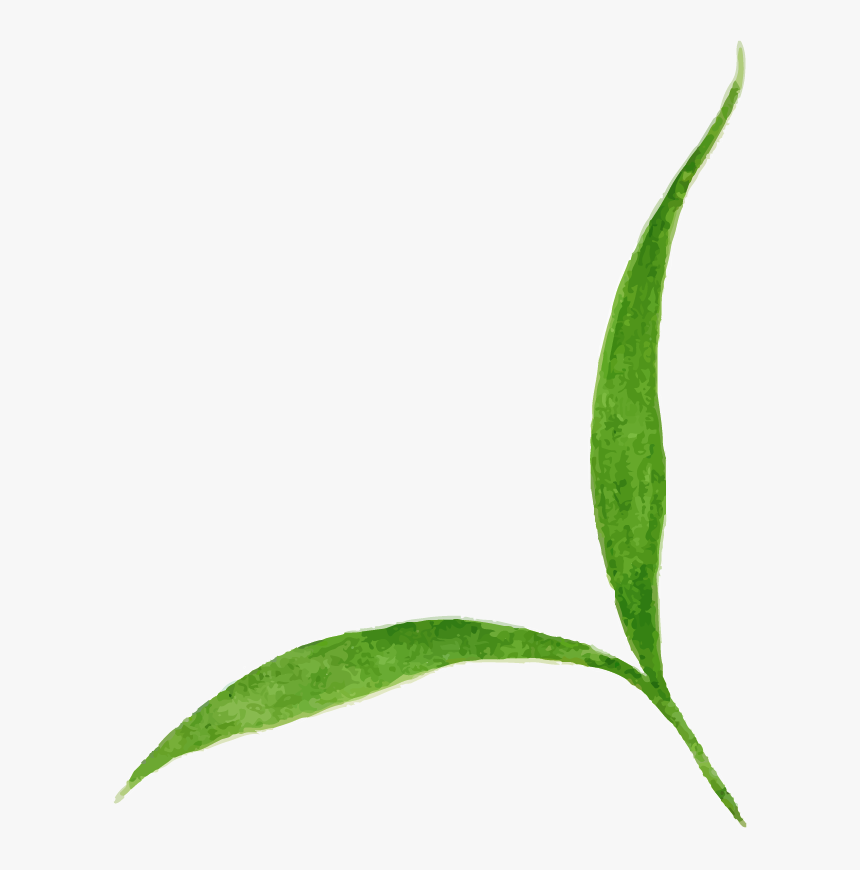 Herb, HD Png Download, Free Download