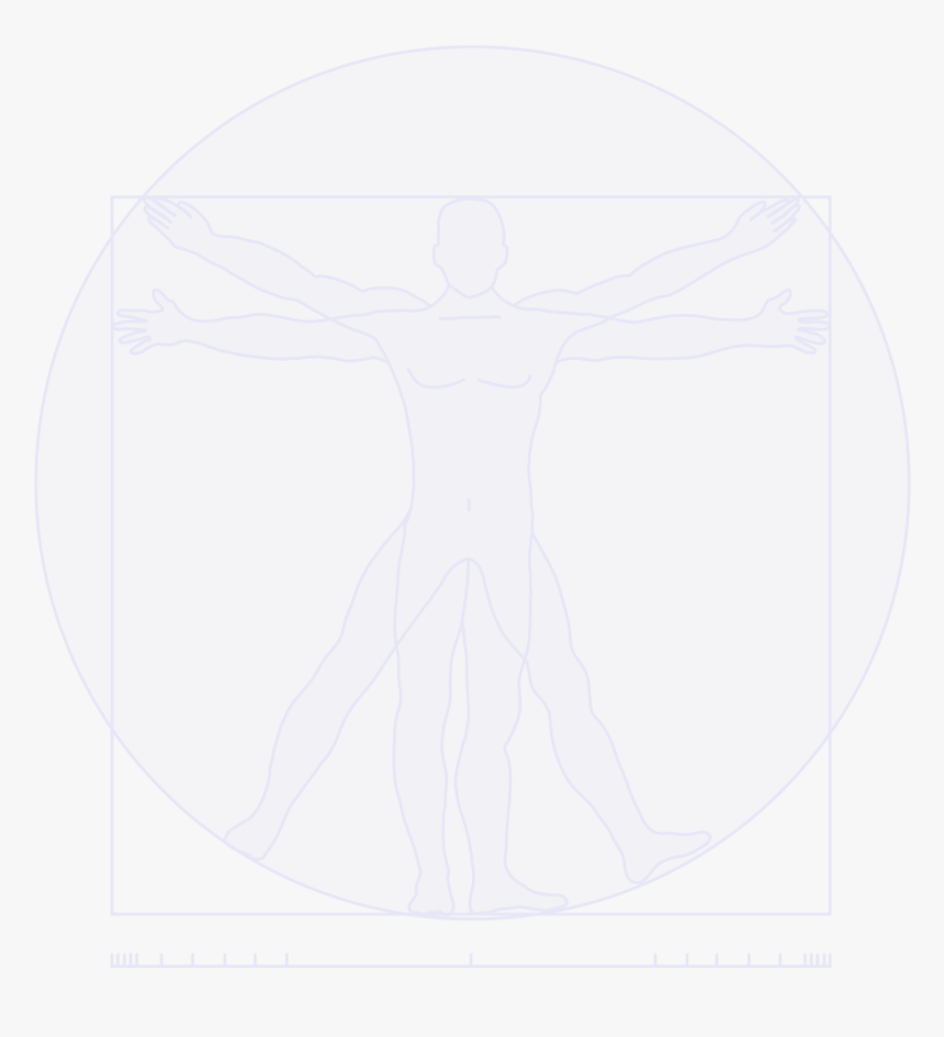 Leonardo Da Vinci"s Vitruvian Man - Graphic Design, HD Png Download, Free Download