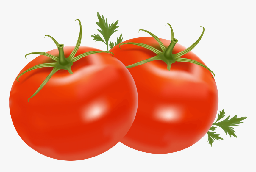 Tomato Clipart Transparent Background, HD Png Download, Free Download