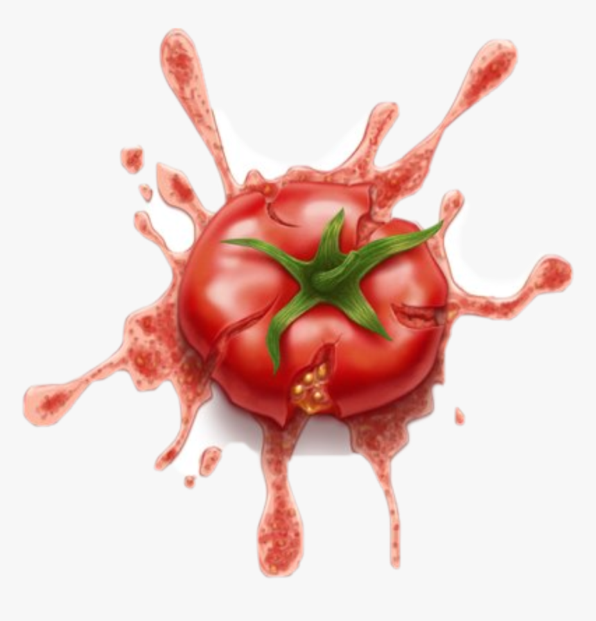 Transparent Tomatoe Png - Tomato Splat Transparent, Png Download, Free Download