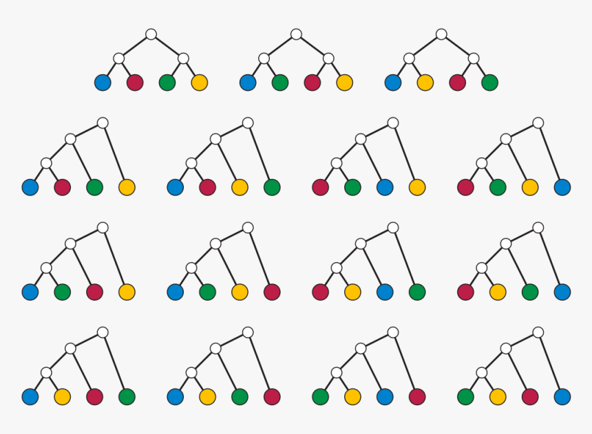 Arboles Binarios Con Raices Distintas - Binary Trees With 4 Leaves, HD Png Download, Free Download