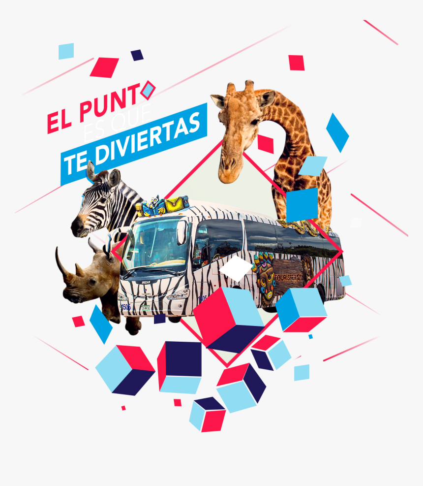 Flecha - Graphic Design, HD Png Download, Free Download