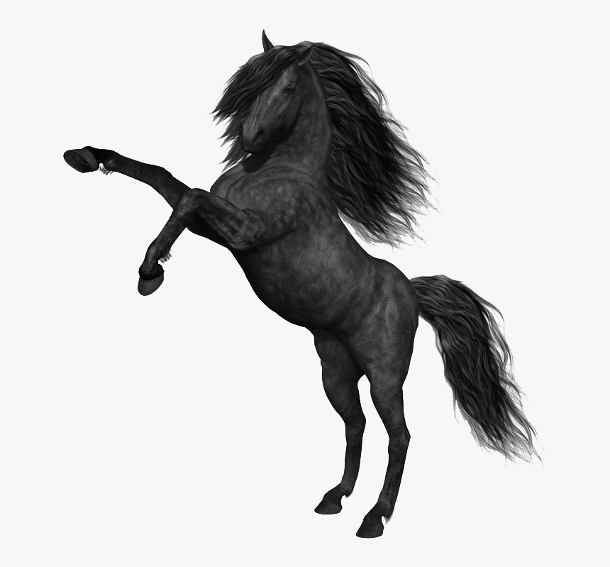 Mustang Horse Png Photos - Black Horse Png, Transparent Png, Free Download