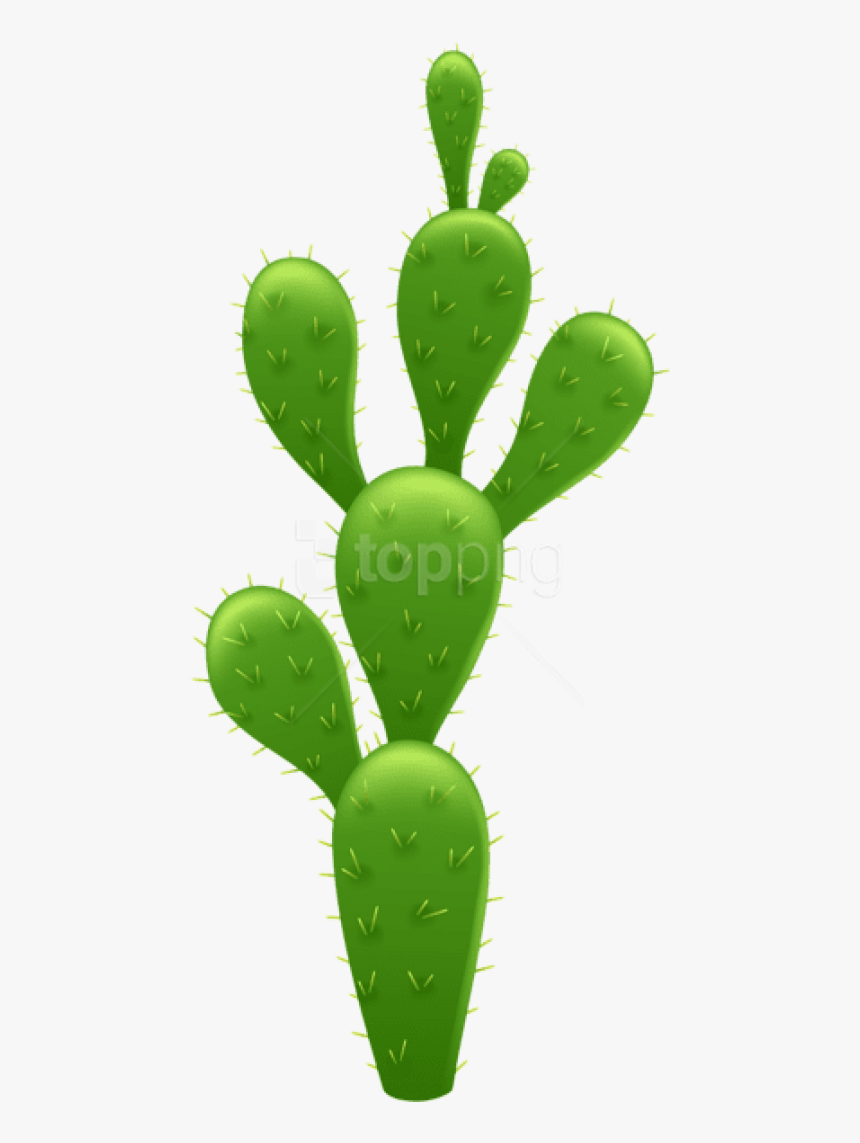 Free Png Cactus Transparent Png Images Transparent - Transparent Background Cactus Clipart, Png Download, Free Download