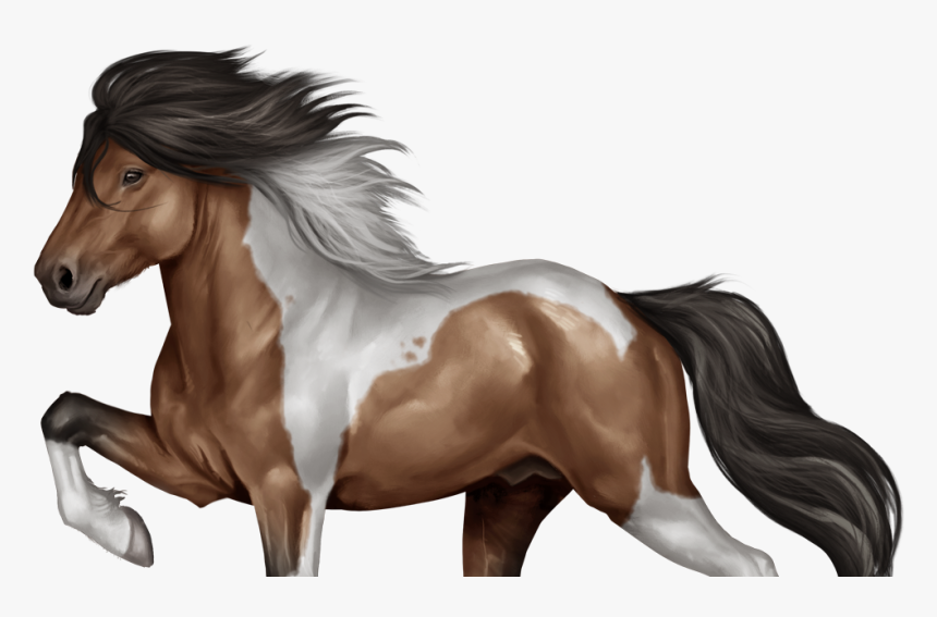 Horse Reality Paarden, HD Png Download, Free Download