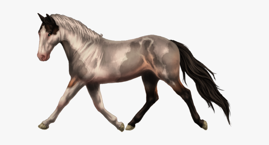 Horse Running Transparent Background, HD Png Download, Free Download