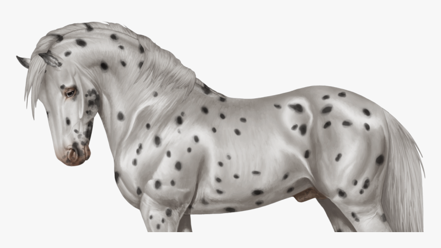 Stallion, HD Png Download, Free Download